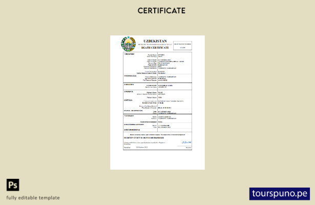 listo para imprimir Plantilla de plantilla de Word y PDF del certificado de de 8